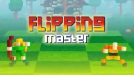 Flipping Master